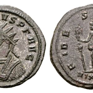 Probus 276-282. Biljoen Antoninianus. Ticinum