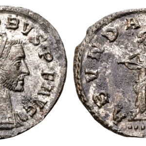 Probus 276-282. AE Antoninianus. Lugdunum